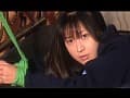 Sample 10