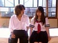 Sample 29
