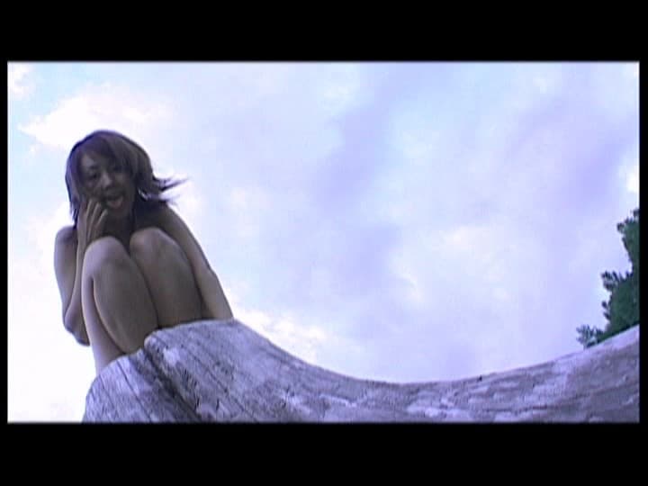 Sample 13