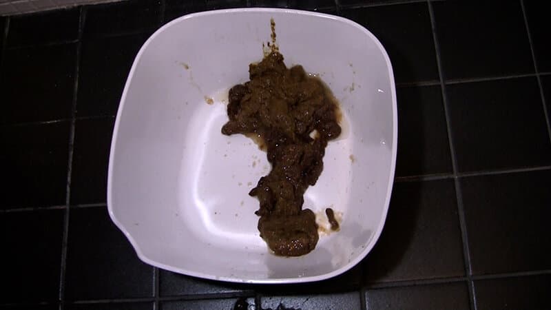 Sample 5