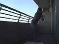 Sample 16