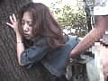 Sample 37