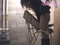 Sample 24
