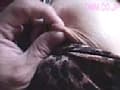 Sample 11