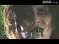 Sample 34