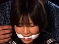 Sample 30