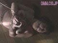 Sample 13