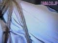 Sample 12