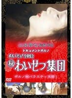 ドキュメントポルノ ポルノだョ！全員集合（秘）わいせつ集団