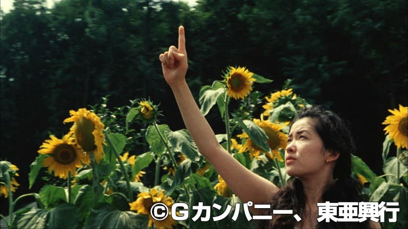 Sample 6