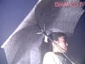 Sample 31