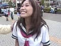 Sample 13