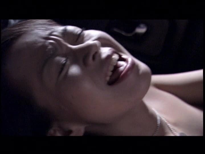 Sample 5