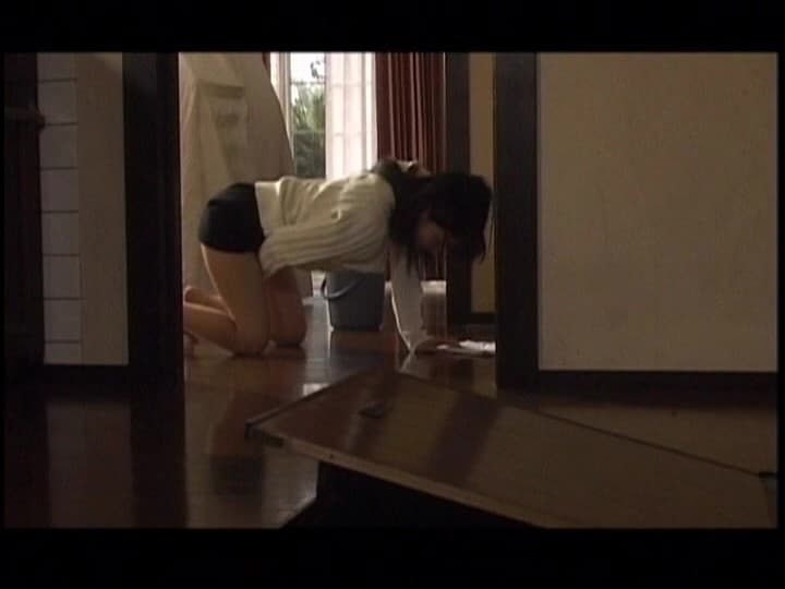 Sample 4