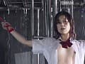 Sample 9