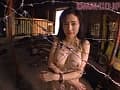 Sample 20