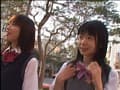 Sample 20
