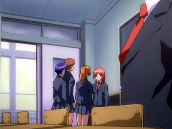Sample 11