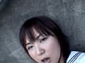 Sample 35