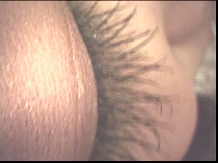 Sample 8