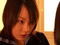 Sample 4