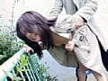 Sample 6