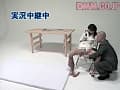 Sample 8