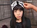 Sample 11