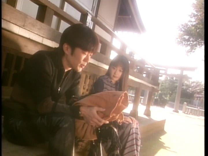 Sample 11