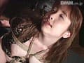 Sample 40