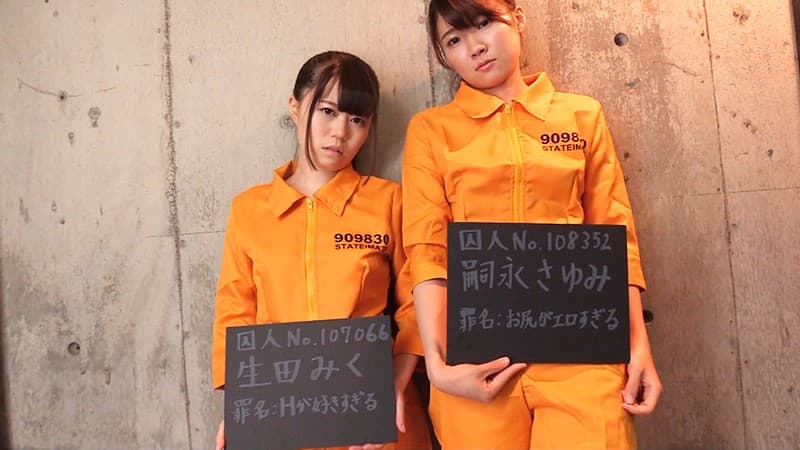 Sample 13