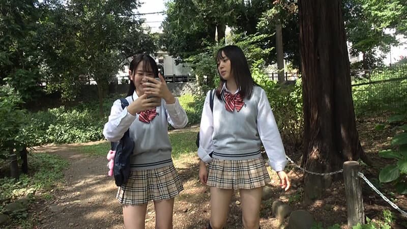 Sample 4