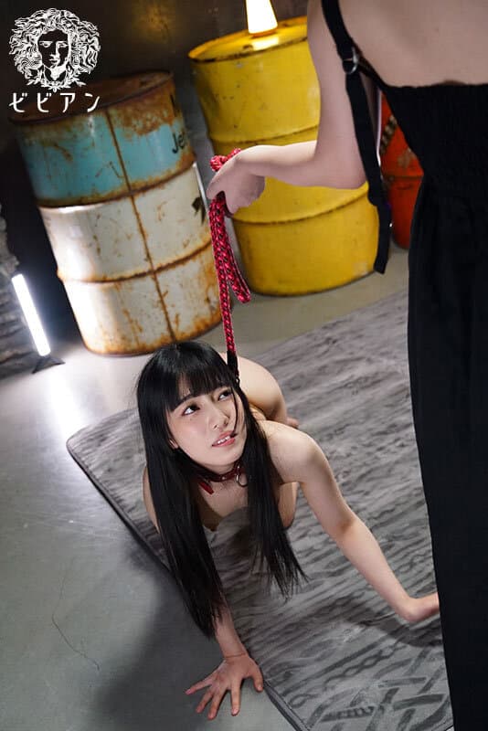 Sample 6