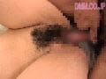 Sample 26