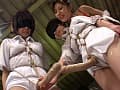 Sample 25