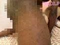 Sample 13