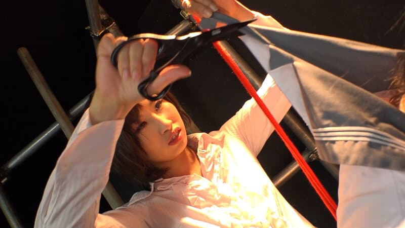 Sample 13