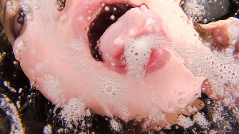 Sample 8