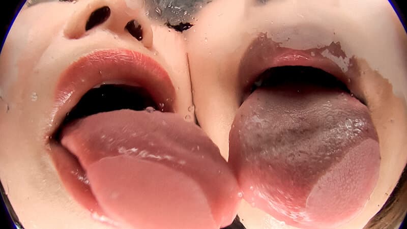 Sample 13