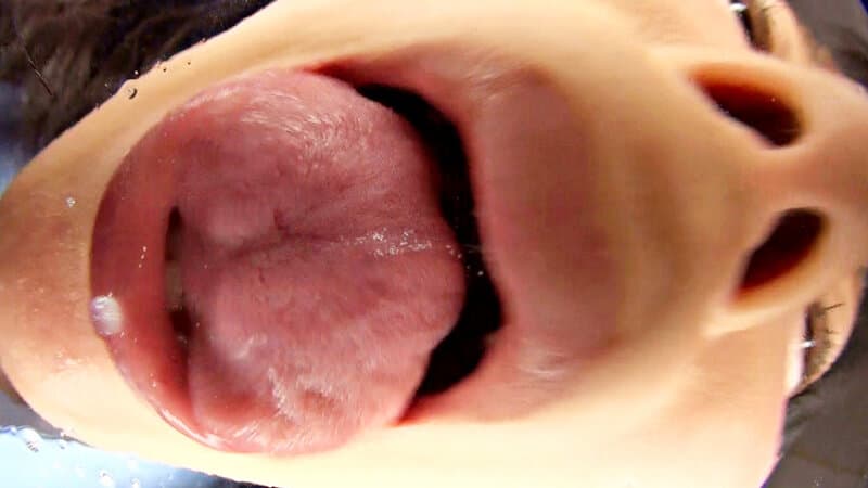 Sample 8