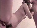 Sample 32