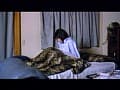 Sample 23