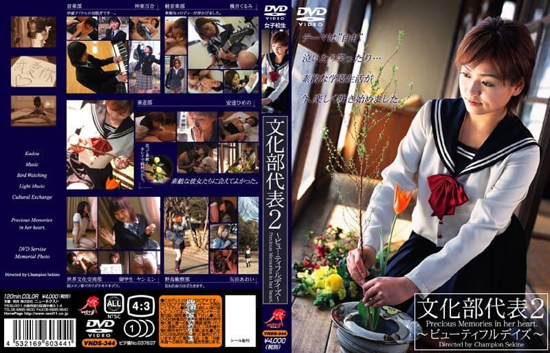 文化部代表 2 ～ビューティフルデイズ～
