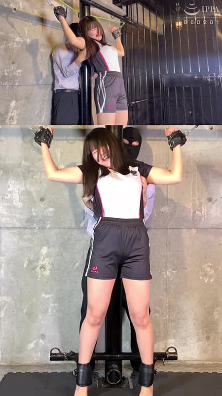 Sample 4