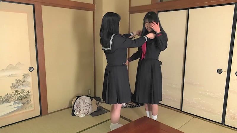 Sample 4