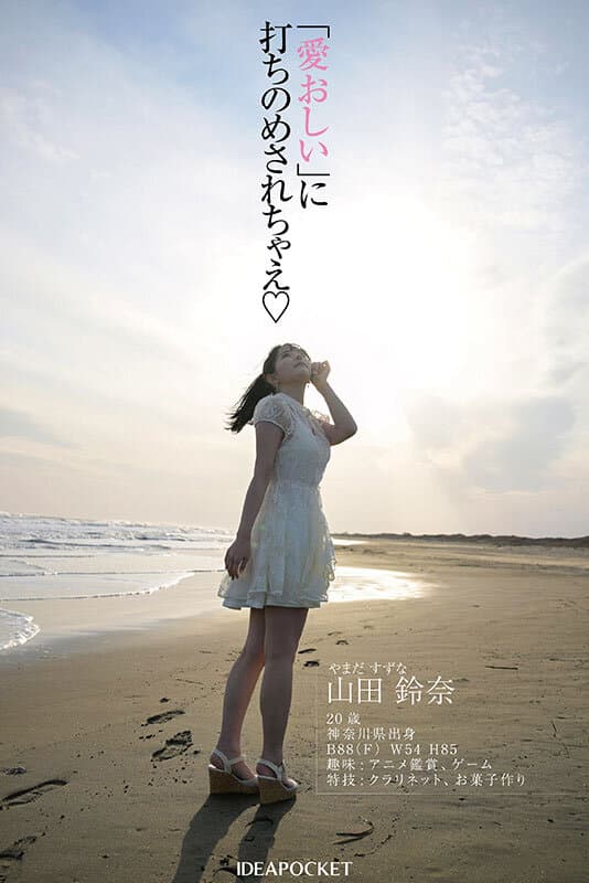 Sample 6