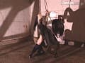 Sample 16
