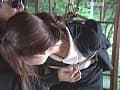 Sample 12