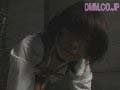 Sample 12