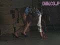 Sample 13